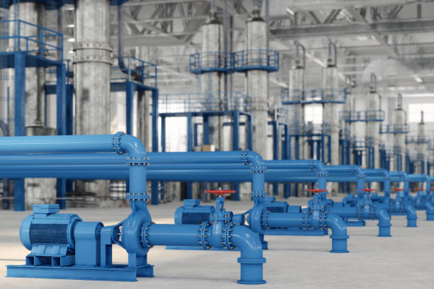 Best Plumbing Inspection Services  in Ridgemark, CA